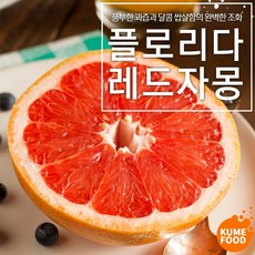 [재구매율 98%] 쿠메푸드 당도선별 플로리다 레드자몽 개당 260g내외, (56입)