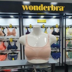 wbwbr0i11cbk TOP01