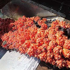 대복수산 활멍게1kg, 1개