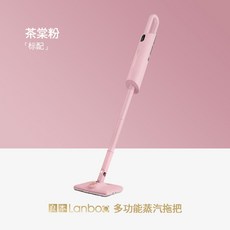 로아스물걸레청소기