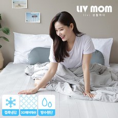 리브맘냉감패드