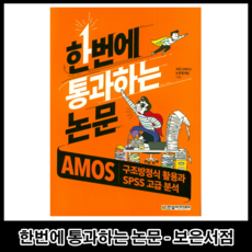 한번에 통과하는 논문 : AMOS 구조...