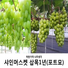 ba92468a42e434acd84a937cf81aee9b41b38710f21d871e9babd3b64fc0.JPG