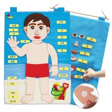사람몸의구조