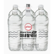 웰리힐리워터파크오후권