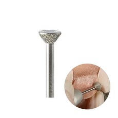 부쉬쪼꼬미비트