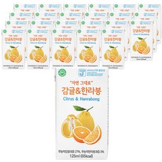 자담한라봉쥬스