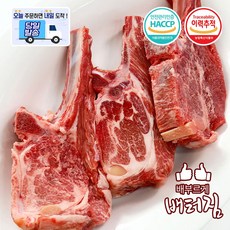(당일출돼지) 캠핑가자 숙성 냉장 양숄더랙 세트, 1개, 냉장 양뼈숄더랙 500g(쯔란,솔트증정)