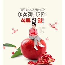 HACCP 인증 석류농축분말99% 먹기 편한 정제타입 바이탈나인 석류정 600mg 90정, 1개
