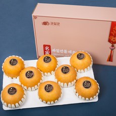 과일꾼 나주배 과일선물세트, 1box, 5kg 8-11과