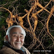 자연에서 자란 야생방치삼 10-12 년근 한울산삼 5개 5g 상품 이미지