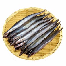겨울이 제철 반건조 양미리 대용량, 60개, 크기 : 20cm