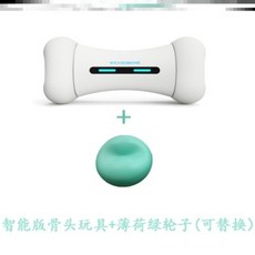 반려동물펫푸드스타일리스트