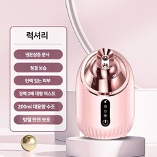 미스트기 스티머 스팀기 가정용 수분 페이스 얼굴, 3. 럭셔리 (200ml)