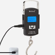 정품 Weiheng 캐리어 저울 낚시 손저울 75kg 50kg 충전 배터리방식, B. 배터리방식 75kg, 1개