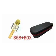 ws858무선마이크