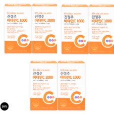 (600일분) 진정주 비타민C 1000, 100정, 6개