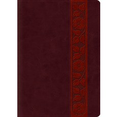 (영문도서) Study Bible-ESV-Large Print Trellis Design Imitation Leather, Crossway, English, 9781433545177