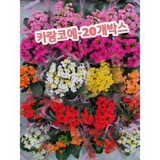 feb0ab3f0f930c3e9a834f5a87f0ac72717270fc218d91aa2eac6a8201b6.jpg