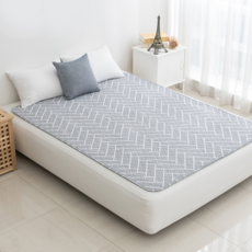 보이로전기요더블