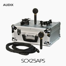 audix합창