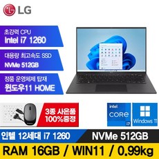 LG그램 14인치 노트북 14ZB90Q i7 12세대 램 16GB SSD 512GB 윈도우11 포함, 14ZB90Q-G.AAC6U1, WIN11 Home, 블랙