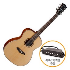 파크우드 어쿠스틱기타 S22 탑솔리드 픽업 증정, *, *