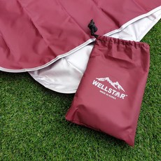 삼락공원피크닉