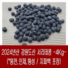 [다온농산] 국산 서리태콩 <강원도산> -4Kg- 강원도 홍천 인제 횡성농가, 4kg, 1개