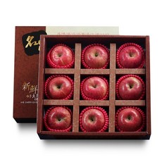 더조은 사각 명품 사과 선물세트 3kg 9과, 단품