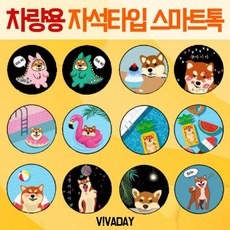 시바견자석