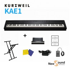영창 커즈와일 KA-E1 스테이지 디지털 전자 피아노, KAE1+쌍열스탠드