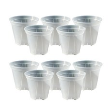 앙플랜트 숨쉬는 슬릿화분 10p, 투명