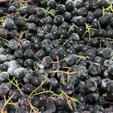 무농약생아로니아