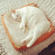 토스트 빵의 인형 크게 토스트 음식 개 고양이 펫 빵집 죽부인 음식점 가게 장식 장난감 귀엽고 장난감
