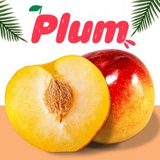 선물시장핸드북