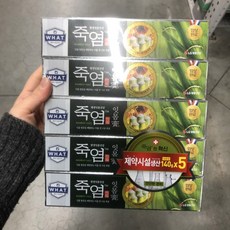 죽염 잇몸고 치약 140g x 5개