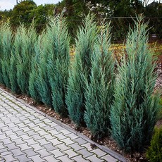 7b6a58333c7ddebcb678e41322dcf070d9b982b0927a651e5701d161b813.jpg