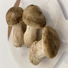 b5e3f1fcfd2e3988358cee513d0af5e4a848aa4842d8383151424e0fcd81.jpg