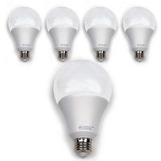 데이온 led 전구 20w 벌브 E26, 전구색 5개, 5개