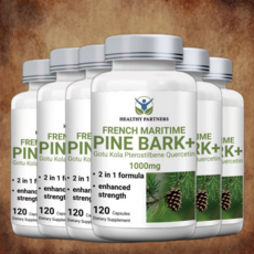 HEALTHY PARTNERS 프랑스해안송 소나무껍질추출물 고투콜라 프테로스틸벤 퀘르세틴 1000mg 피크노제놀성분 폴리페놀