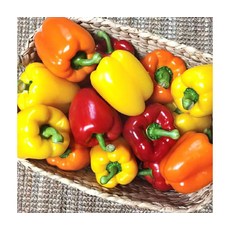 프리미엄 삼색혼합 국내산 파프리카 3kg (빨강/노랑/주황), ONE COLOR, ONE SIZE