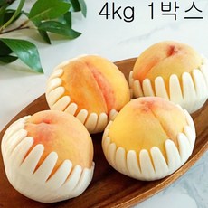 우연팜 당일수확 맛있는 황도복숭아, (황도)복숭아 4kg 25과내외, 1개