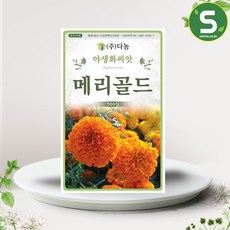 아프리칸메리골드 씨앗 100립 꽃씨앗 꽃씨 종자, 1개