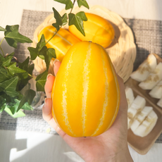 [산지직송 당일수확 보장] 성주 참외 가정용 소과 중과 대과, 1개, 5kg (소과)
