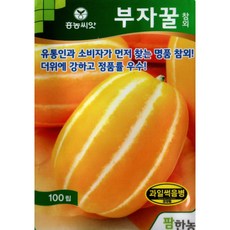 부자꿀참외 참외씨앗 100립 흥농씨앗, 1개