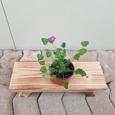 5635e66d5279ab918e815e46b33879ea60c53022fb37b7ffaba6c30164c7.jpg