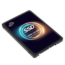 한창코퍼레이션 CLOUD SSD, 480GB