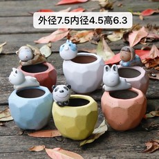 화분하나로미니정원만들기