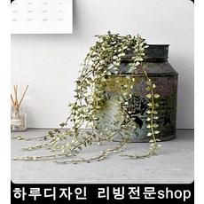 //상품명